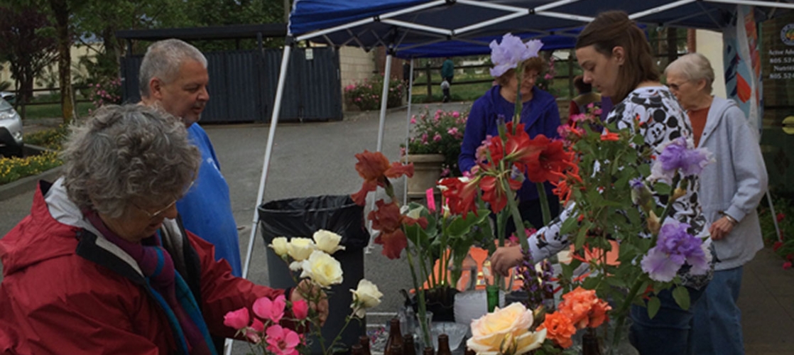 2016 ENTRY DIVISIONS