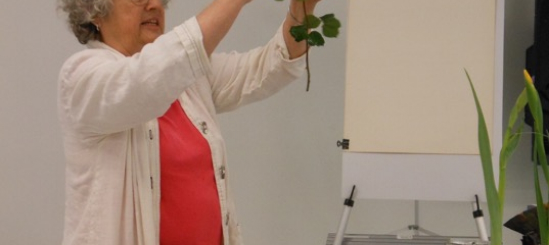 Joanne King talks about roses at the March 11th, 2016 flower show demo